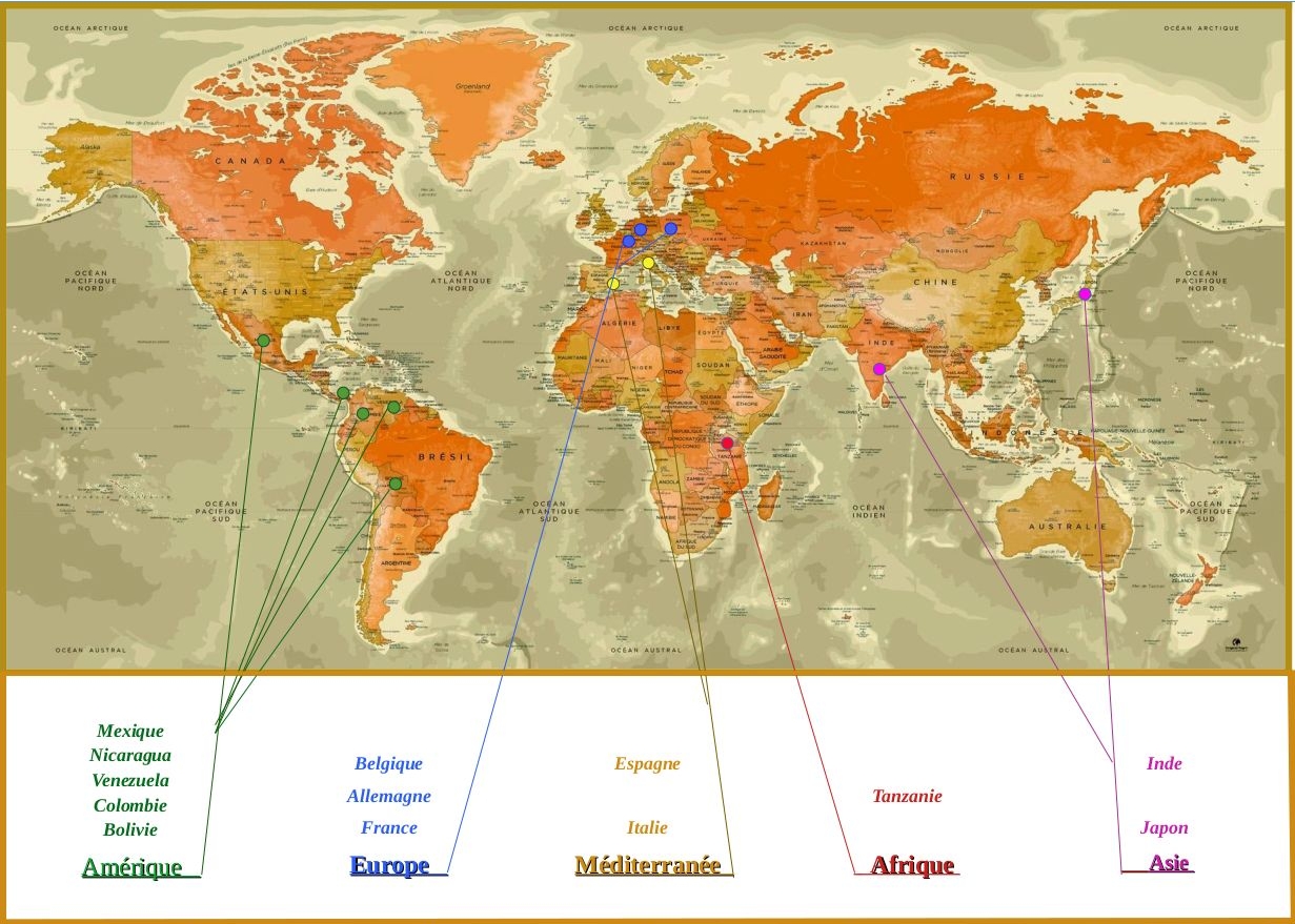 Carte du monde